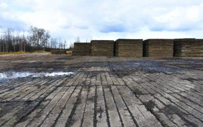 wooden bog mats used to protect ground