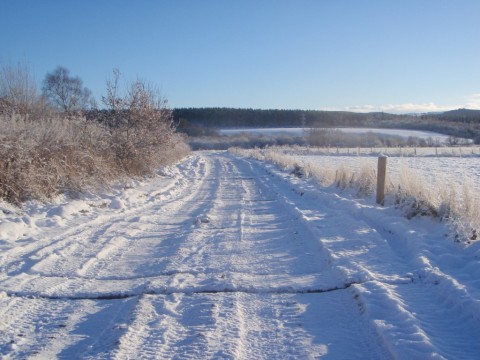 bog-mats-in-winter