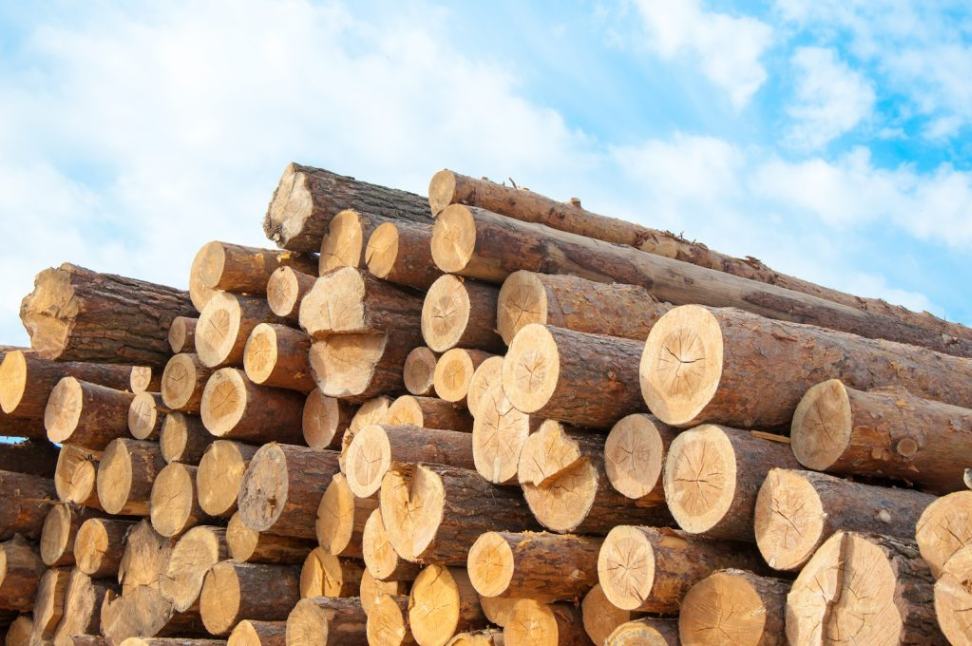 timber for mats