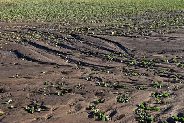 Soil Erosion